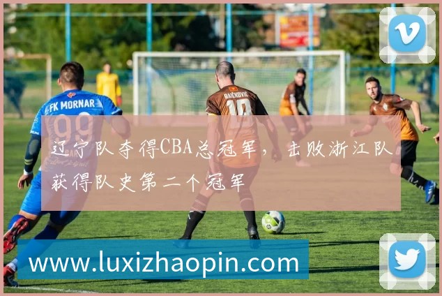 辽宁队夺得CBA总冠军,击败浙江队获得队史第二个冠军